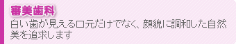 審美歯科 - 白い歯が見える口元だけでなく、顔貌に調和した自然美を追求します